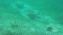 La Petite Atlantide – Plongée sous?marine à Saint?Louis