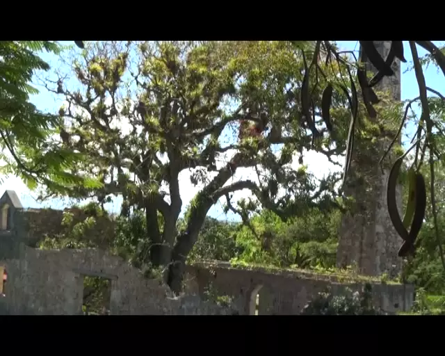 Catherine Richomme a animé des ateliers dessins à Murat