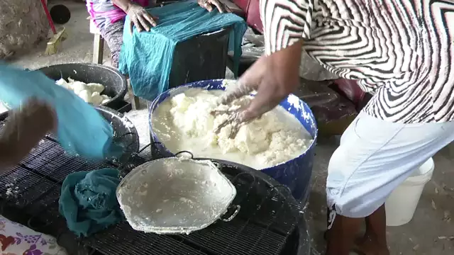 Capesterre de Marie Galante : la fabrication de la farine manioc