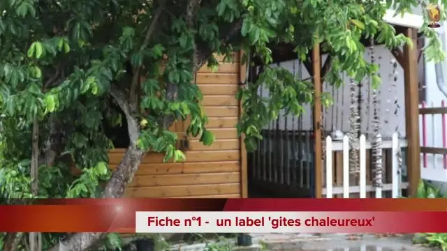 Des projets pour Marie Galante ? 5 minutes pour en savoir plus sur le LEADER