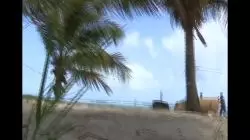 Spectacle insolite sur la très belle plage de La Feuillère : des Boeufs faisaient une démonstration au son du lewoz