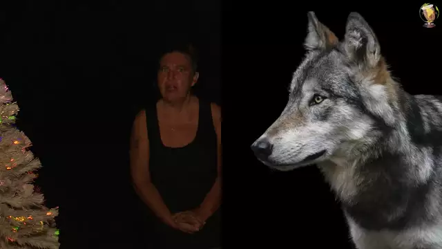 Les Contes de l'Avent - J- 22 un conte indien : Les deux Loups