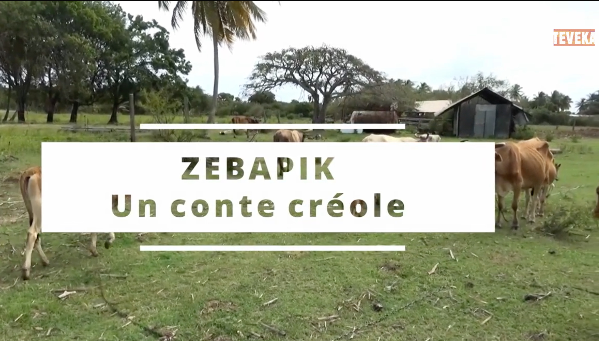 Zebapik, un conte créole ou comment lutter contre son addiction