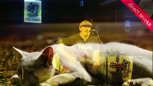 Frank Nello en concert live Chez Henri : ma petite chatte...