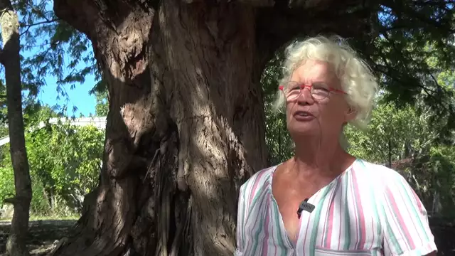 Inauguration du premier refuge pour  chiens de Marie Galante