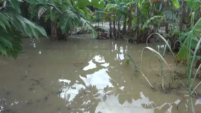 Dis moi dix mots 2023 avec le terme Hivernage illustré en images