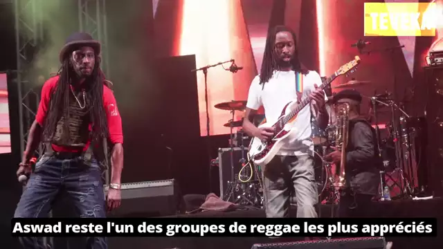 Terre de Blues le replay : 7ème ep. Aswad le reggae combattant