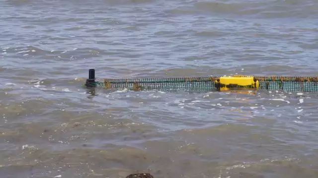 Du nouveau côté Sargasses : la pose du Filet Drom à Capesterre Bourg