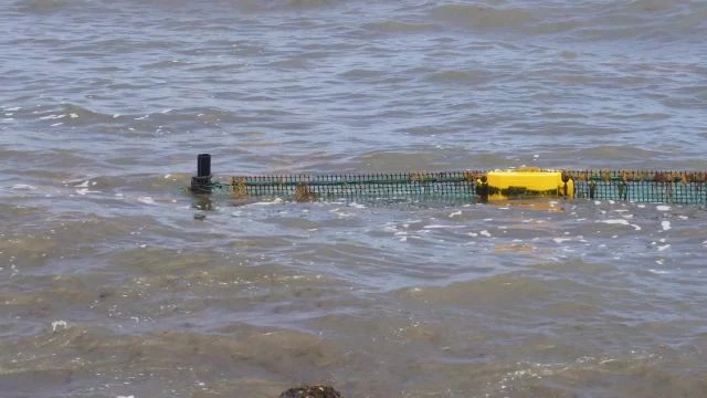 Du nouveau côté Sargasses : la pose du Filet Drom à Capesterre Bourg