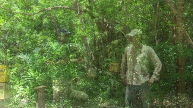 Opération 'Zéro Déchets' à la ravine Pichery