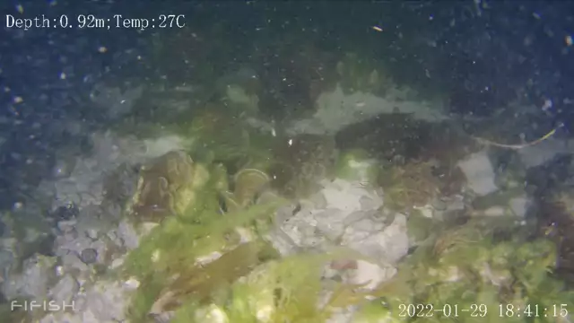 Images nocturnes et sous marine au large de la Feuillère