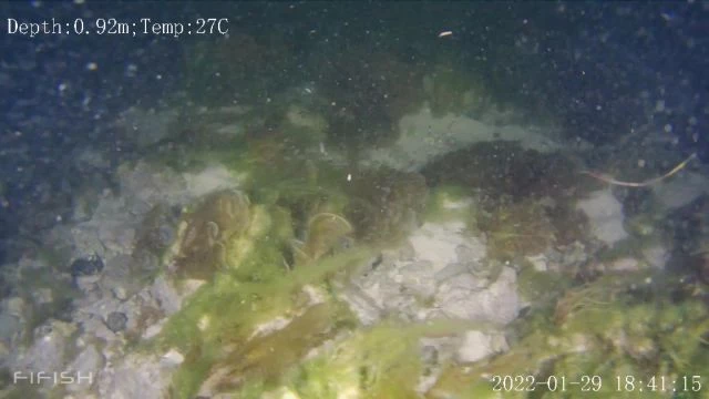 Images nocturnes et sous marine au large de la Feuillère
