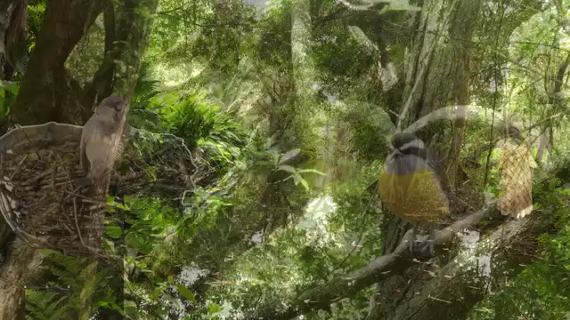 Un conte contre les addictionss : Les mésaventures de Man Sik