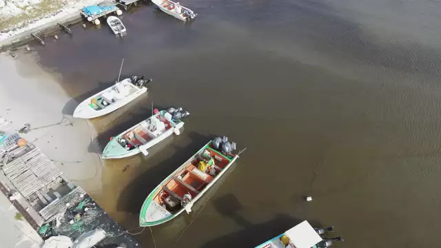 Sargasses à Capesterre : elles sont prises au filet !