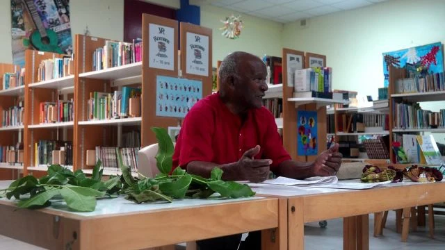 Conférence sur les bienfaits de l'Arbre à Saucisse